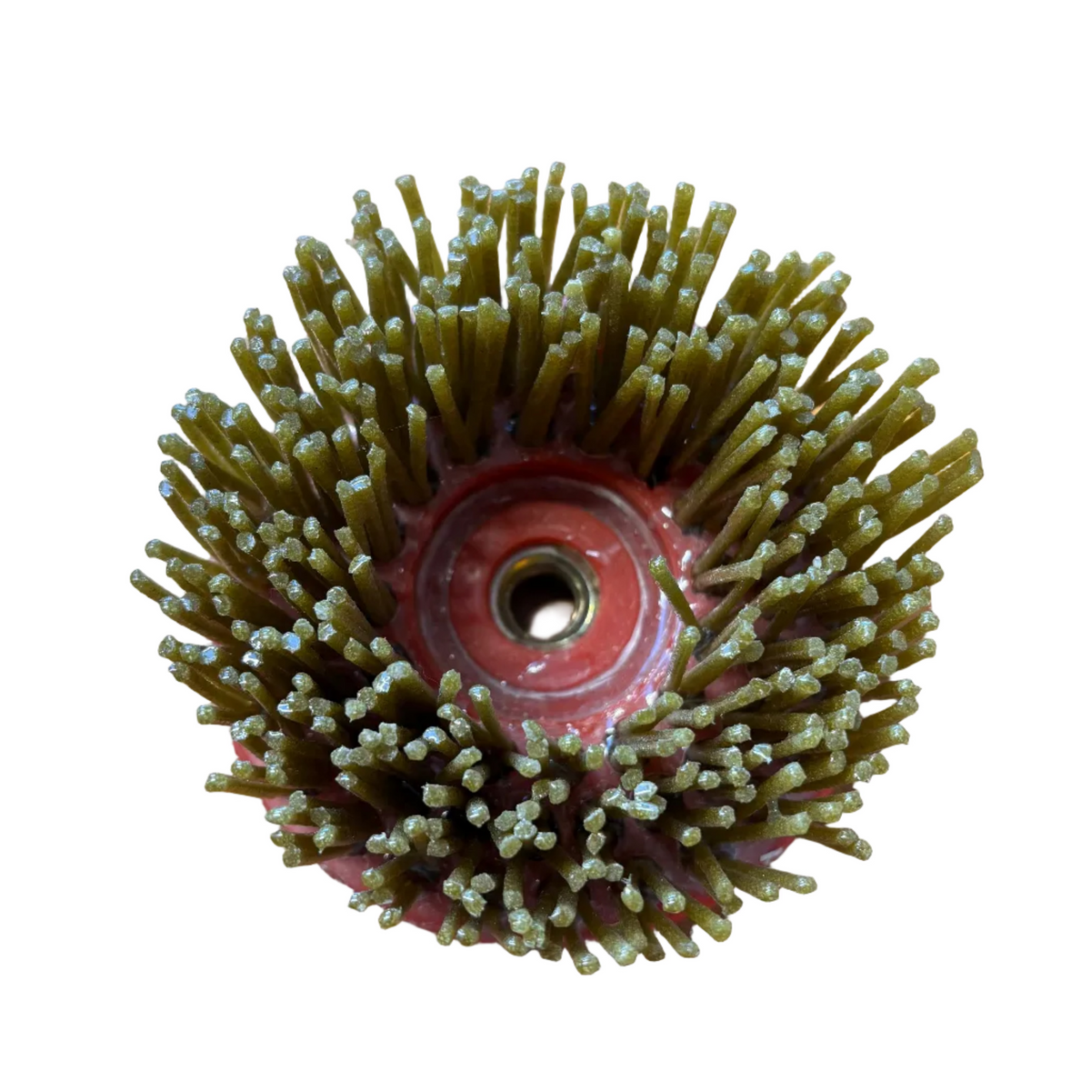 Diamond stone brush for cleaning Yorkshire stone floors